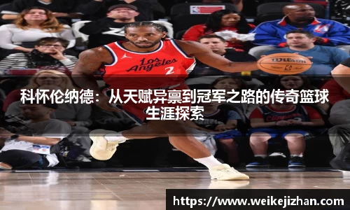 PA视讯官网